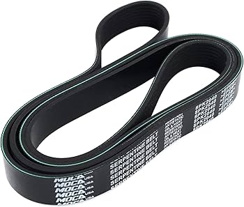 71MtCp9v+uL._AC_UF350,